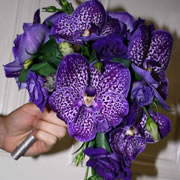 A hand-held bouquet of blue Vanda Orchids